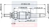 RENAULT свічка розжарювання (подвійна спіраль) 11V R19 1.9D,Express 1.6D 86 A-N Parts A-N064 163 (фото 2)