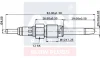 FIAT свічка розжарювання (подвійна спіраль) 12V Bravo,Marea,Punto,Alfa Romeo 145/146/147,156,Lancia 1.9/2.4JTD 97 A-N Parts A-N080 376 (фото 2)