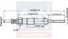 RENAULT свічка розжарювання (подвійна спіраль) 4.4V Megane, Scennic, 1,9dCi 09-,Suzuki Grand Vitara 1,9DDiS 05 A-N Parts A-N091 033 (фото 2)