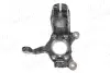 Цапфа (передня) Audi A3/Q3/Skoda Octavia/VW Caddy III 09-15 (L) AIC 55335 (фото 2)