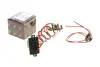 Елемент електрообладнання AIC 56003 (фото 1)
