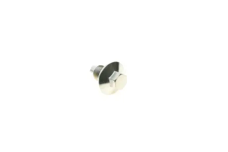 Болт зливу оливи Ford Transit 2.0/2.4/2.2 00- (M14x1.5) AIC 58308