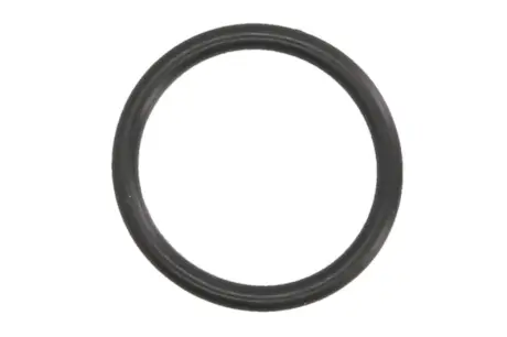 Прокладка впускного колектора DS DS 4, DS 5, DS 7 CITROEN C4 GRAND PICASSO II, C4 II, C4 PICASSO II, C4 SPACETOURER, C5 AIRCROSS, C5 III, DS4, DS5, GRAND C4 SPACETOURER 2.0D/2.2D 04.09- AJUSA 16021500