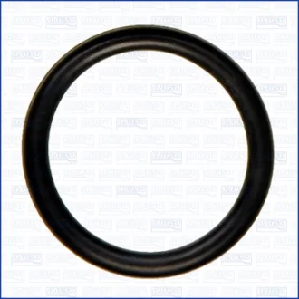 BMW Ущільнююче кільце 3 (G20, G80, G28) M 340 i xDrive 19-, FIAT SCUDO Автобус (270_, 272_) 2.0 D Multijet 11-16 Ajusa 16102100