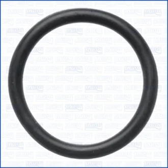 CITROEN Ущільнююче кільце трубопровода подачі охолоджувальної рідини C5 III Break (RW_) 2.0 HDi 08-14, VW PASSAT B5 Variant (3B5) 2.8 V6 97-00 Ajusa 16131100