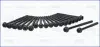 Набір болтів ГБЦ AUDI Q7 PORSCHE CAYENNE SKODA SUPERB II VW ATLAS, CC B7, EOS, PASSAT B6, PASSAT B7, PASSAT B7/KOMBI, PHAETON, TOUAREG 3.2/3.6 10.05- AJUSA 81044000 (фото 1)