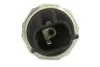 Датчик тиску масла CHRYSLER SEBRING DODGE CALIBER JEEP COMPASS, PATRIOT LANCIA FLAVIA 2.0-2.4LPG 08.06- Akkusan K02W009AKN (фото 2)