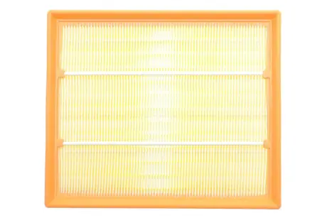 Фільтр повітряний Ford Scorpio/Sierra/Granada 2.0-2.9 85-94 ALPHA FILTER AF1607