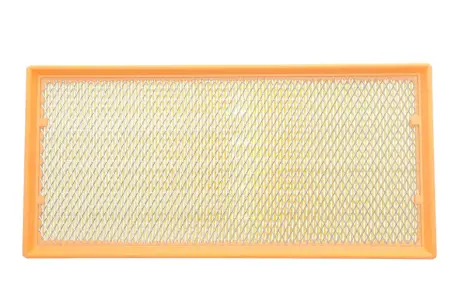 Фільтр повітряний Audi Q7/VW Touareg/Land Rover Range Rover III 04-12 (з сіткою) ALPHA FILTER AF1652s