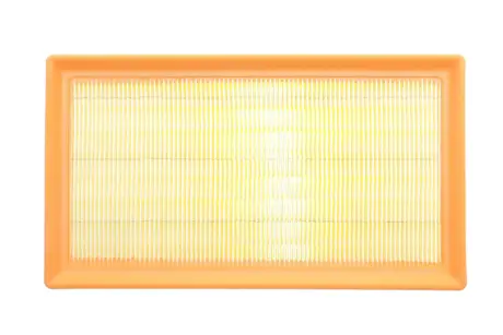 Фільтр повітряний Toyota Rav4/Camry 2.5Hybrid 17-/C-HR/Corolla 1.2/2.0 16-/Lexus ES/RX/NX 2.5 18- ALPHA FILTER AF1971