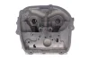 Головка блоку циліндрів VW Golf 2.0 GTI/R 16-/Audi Q5 2.0 TFSI 12- (gen III) AMC 910709 (фото 4)
