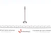 Клапан (випуск) Audi A4/A6/Skoda Superb/VW Passat 2.5TDI 02-05 (24.1x6x100.5) (азотування) AMP PAUD067-A-0-N (фото 5)