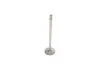 Клапан (впуск) Audi A4/A6/Skoda Octavia/Superb/VW Golf/Passat 1.8-3.0 -10 (27x6x105) (азотовані) AMP PVWG007-S-0-N (фото 2)