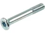 Болт з головкою системи TORX з чорного металу SP0052