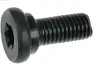 Болт з головкою системи TORX з чорного металу SRS3060S