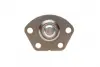 Опора кульова (передня/знизу) Fiat Ducato/Peugeot Boxer (1.4t) 02-06 ASMETAL 10FI3004 (фото 2)