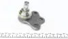 Опора кульова (передня/L) Opel Meriva 03-10 ASMETAL 10OP1220 (фото 4)