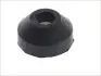 Кріплення радіатора (Втулка) RVI C, G, KERAX, MAGNUM, MANAGER, MAXTER, PREMIUM, R dCi11-270-MIVS08.35.30F 10.80- AUGER 57089 (фото 1)
