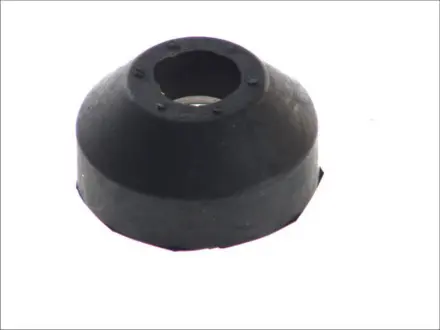 Кріплення радіатора (Втулка) RVI C, G, KERAX, MAGNUM, MANAGER, MAXTER, PREMIUM, R dCi11-270-MIVS08.35.30F 10.80- AUGER 57089