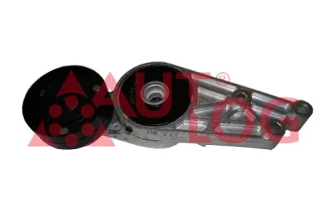 Ролик натяжний ГРМ 1.6/1.8T/2.0 TFSI A4/A6/Passat Autlog RT1830