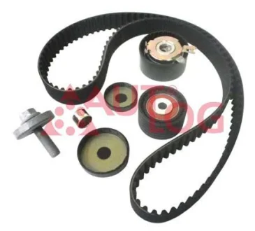 Комплект ГРМ 1.4/1.6 Kangoo 01-/Logan 06-/Megane 99-/Duster 10- (рем. Conti CT1179) Autlog ZK1032