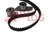 Комплект ГРМ 1.9D Kangoo 97-03/Clio 91-05/Rapid 94-98 (рем. Conti CT949) Autlog ZK1089 (фото 1)