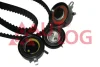 Комплект ГРМ LT/T4 2.5TDI 96- (2 ременя + 3 ролика)(55-111 kW)(рем. Conti CT939+CT914) Autlog ZK1100 (фото 1)