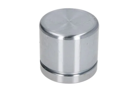 Поршень супорта пер. Duster 17-/Fiesta VII 18-/Juke 19-/Megane III 09-(54x51mm)(ATE) Autofren D025491