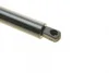 Амортизатор кришки багажника MB Vito (W638) 96-03 Autotechteile 100 9880 (фото 4)