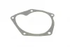 Водяний насос Kangoo/Clio/Logan/Megane/Scenic 1.5dCi 01- Autotechteile 508 0100 (фото 6)
