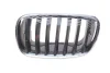 Решітка радіатора BMW X5 (E70)/X6 (E71) 06-14 (L) Autotechteile 700 0335 (фото 1)