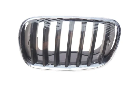 Решітка радіатора BMW X5 (E70)/X6 (E71) 06-14 (L) Autotechteile 700 0335