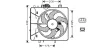 AVA CITROEN Вентилятор радіатора C2/3, Peugeot 1007/207 1.1/1.6 03 Ava cooling CN7527 (фото 1)