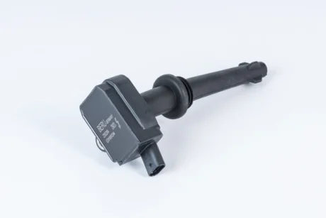 BorgWarner LAND ROVER котушка запалювання 5.0 09- BERU ZSE204