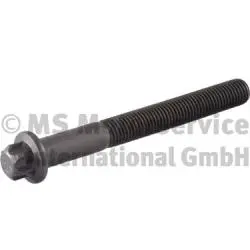 Болт голівки циліндра RVI MIDLUM DEUTZ FAHR AGROTRON X DXi5/TCD2013L064V/TCD2013L64V 01.06- BF 20080520138