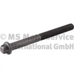 Болт голівки циліндра RVI MIDLUM VOLVO 8700, B6, FE, FE II, FL II, FL III DEUTZ FAHR 9000, AGROTRON X D7E240-TTCD7.8L06 01.91- BF 20080520139