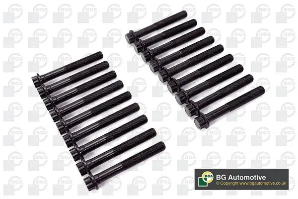 Комплект болтів з головкою системи TORX з чорного металу BGA BK0170 (фото 1)