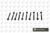 Комплект болтів з головкою системи TORX з чорного металу BGA BK1318 (фото 1)