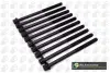 Комплект болтів з головкою системи TORX з чорного металу BGA BK3399 (фото 1)