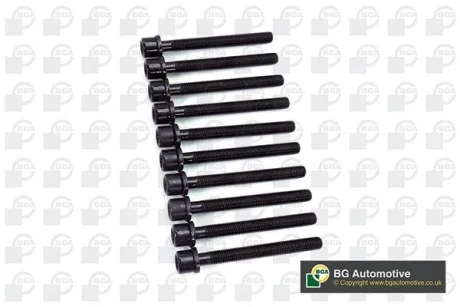 Комплект болтів з головкою системи TORX з чорного металу BGA BK5312 (фото 1)