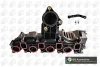 Колектор впускний FABIA/CADDY 1.6 TDI 10-20 BGA MG96010 (фото 1)