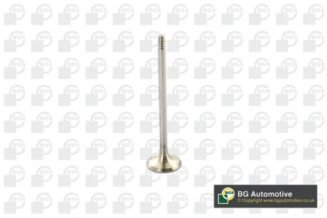 Клапан випуск BMW 3 (E90/F30/F31)/5 (F10/F11)/X3 (F25)/X5 (E70/F15) 2.0-3.0 06-18 BGA V095110