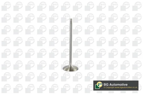 Клапан впуск BMW 3 (E90/F30/F34/E91/F31/E92)/X5 (E70/F15) 2.0-3.0 04-18 BGA V095111