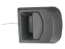 Ручка дверей передн Лів (чорний) IVECO DAILY III, DAILY IV, DAILY V 05.99-02.14 BLIC 6010-30-002401P (фото 1)