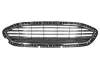 Передня решітка (Бензин, хром/чорний) FORD FIESTA VII 04.17-11.21 BLIC 6502-07-2566991P (фото 1)