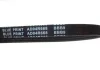 Ремінь генератора Fiat Doblo 1.4i 01-/Chevrolet Aveo 1.2 04-08/Matiz/Kaloz 0.8-1.0 05-/Spark 0.8 05- Blue Print AD04R668 (фото 2)
