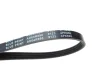 Ремінь генератора Audi 80 2.0 92-96/ Kia Carens/ Sportage/ Sephia 1.4-2.0 96- Blue Print AD04R890 (фото 2)