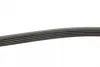 Ремінь генератора Mazda 323/ 626/ Opel Astra G/ Vectra B/C/ Premacy 1.8-2.2 97-08 BLUE PRINT AD05R1030 (фото 2)