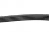 Ремінь генератора Hyundai i20/ i30 1.4 08-/ Toyota Avensis/ Carina 2.0 96-03 BLUE PRINT AD05R1212 (фото 2)