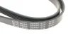 Ремінь генератора Opel Astra G 1.2i-1.4i 04-/ Corsa1.0-1.4/ Agila 1.0-1.2 00-07 Blue Print AD05R1230 (фото 4)